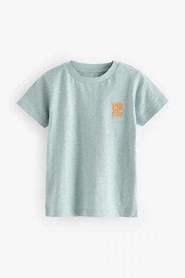 |Boy| Pacote De 5 Camisetas De Manga Curta - Neutras (3 meses - 7 anos)