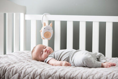 SoundBub by WavHello,Máquina de ruído branco e alto-falante Bluetooth | Chupeta sonora para bebê portátil e recarregável - Bella The Bunny, branca