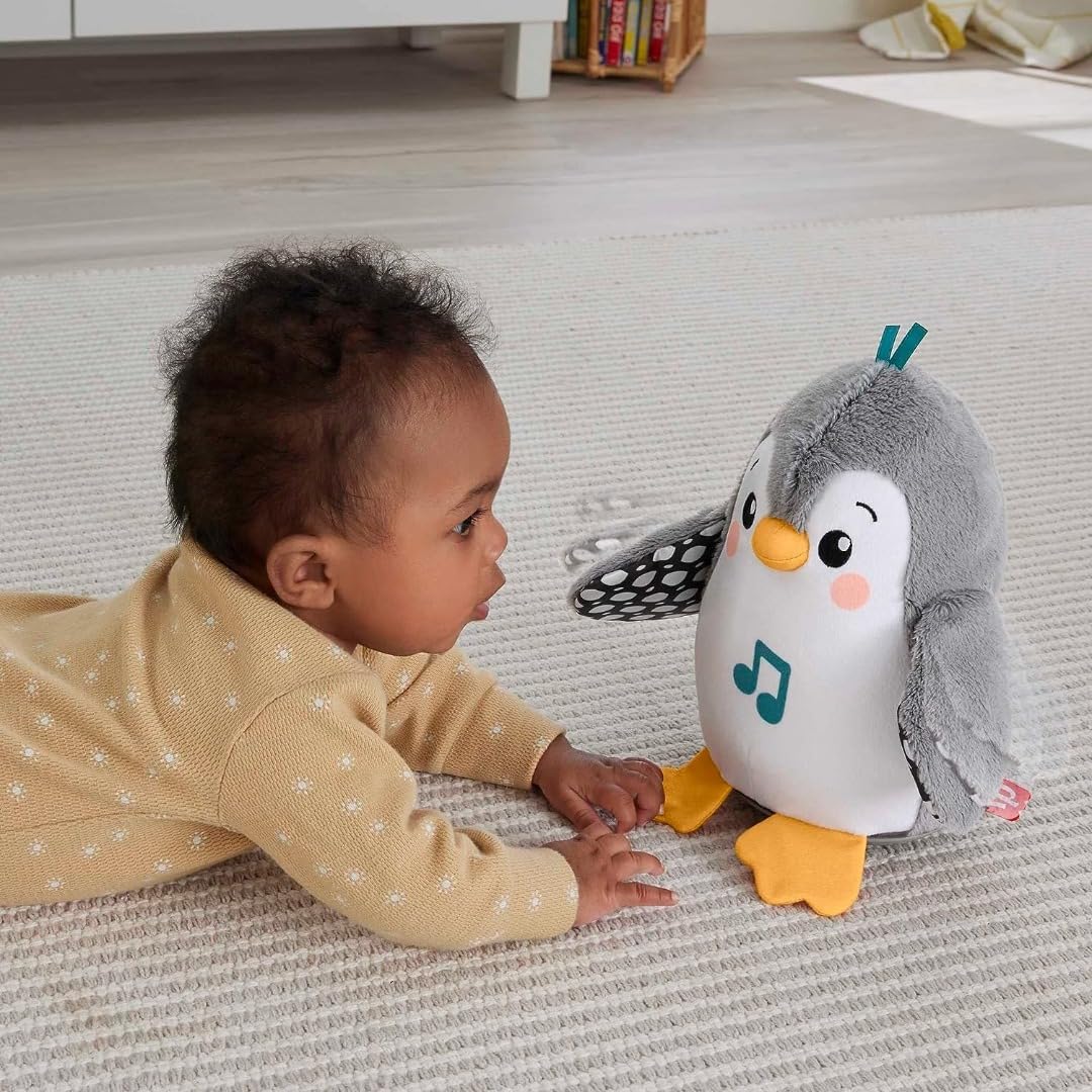 Fisher-Price Brinquedo de pelúcia para bebê com aba e pinguim oscilante com música e movimento para a barriga, hora de sentar-se, jogo sensorial, HNC10