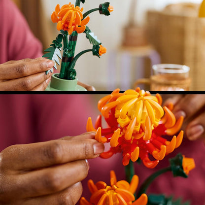 LEGO Conjunto de construção de flores de crisântemo Icons, kit de modelo criativo para adultos construirem, presente de planta artificial para mulheres, homens, ela ou ele, exibição de decoração de escritório doméstico da coleção botânica