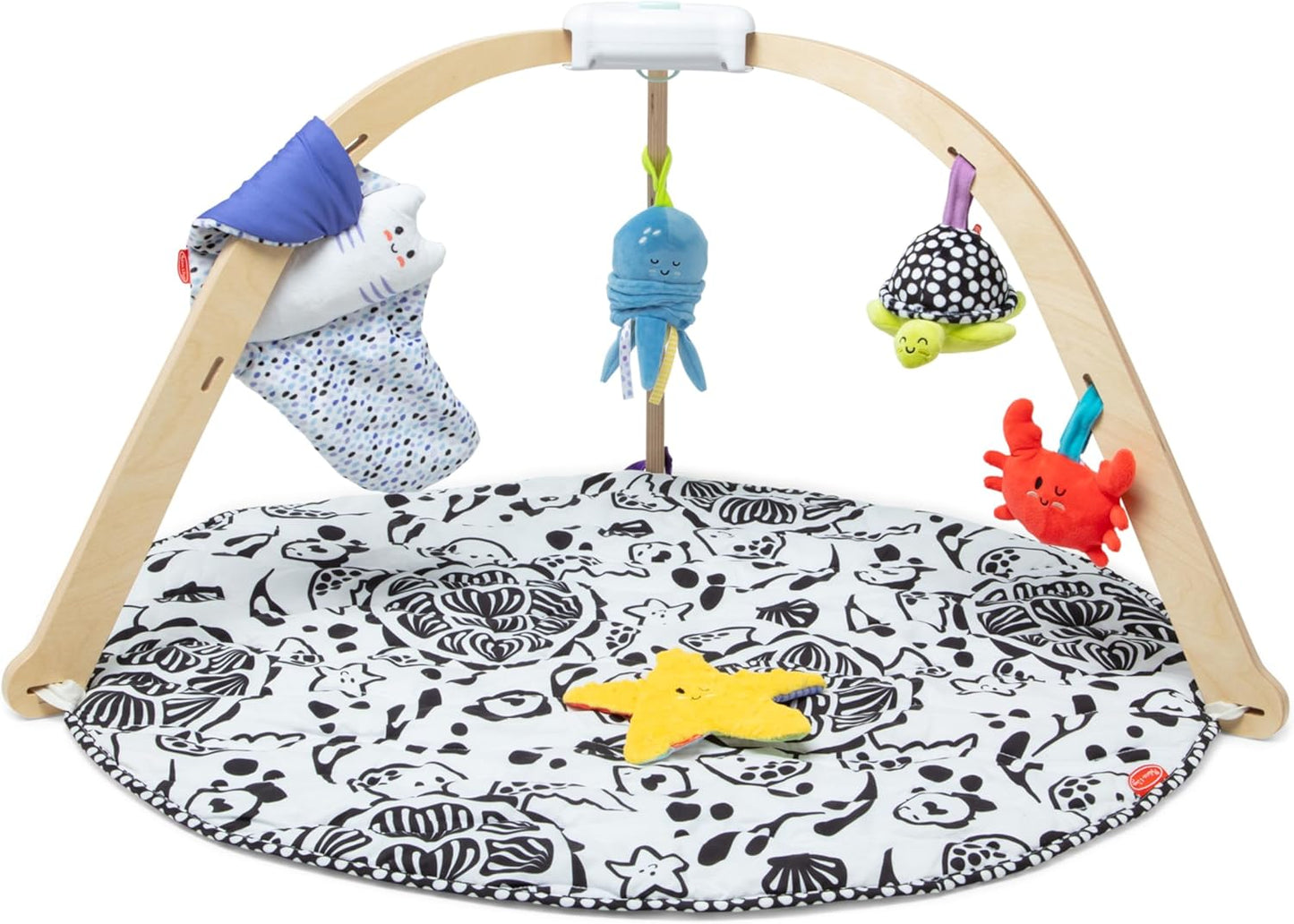 Melissa & Doug Ocean Easy-Fold Play Gym Brinquedo de desenvolvimento para bebês, tapete reversível, 5 peluches, nascimento até 9 meses