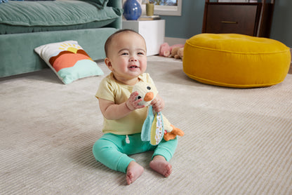 Fisher-Price  Snuggle Up Goose™