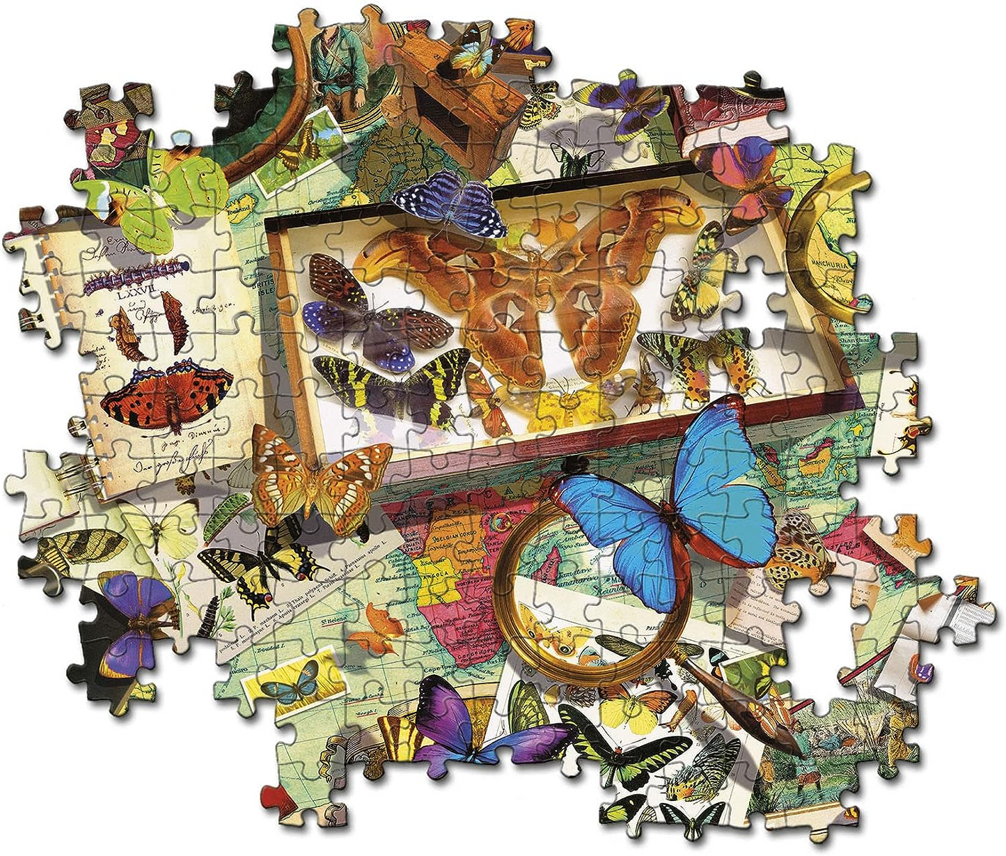 Clementoni 35125 Coleccion de Mariposas 500pcs Collection Butterfly Collector 500 Piezas, Made in Italy, Puzzle para Adultos, Multicolor, Mediano