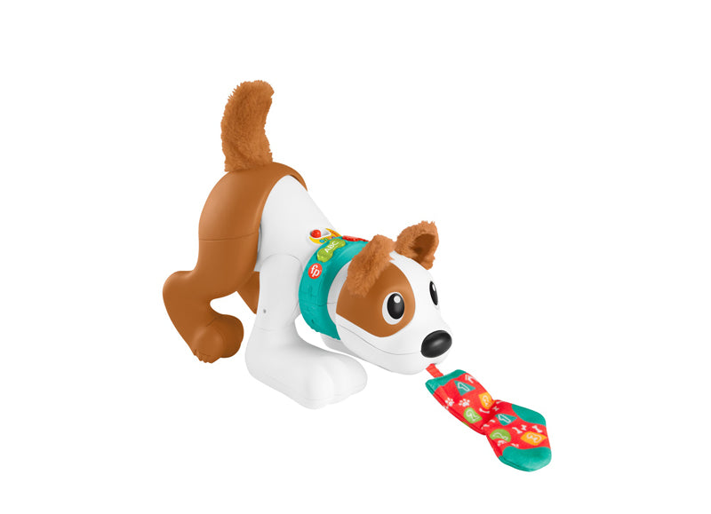 Fisher-Price 123 Engatinhe Comigo Cachorrinho 6-36 meses