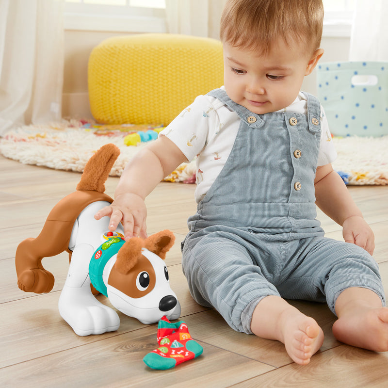 Fisher-Price 123 Engatinhe Comigo Cachorrinho 6-36 meses