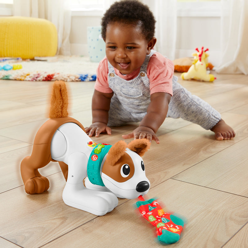 Fisher-Price 123 Engatinhe Comigo Cachorrinho 6-36 meses