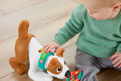 Fisher-Price 123 Engatinhe Comigo Cachorrinho 6-36 meses